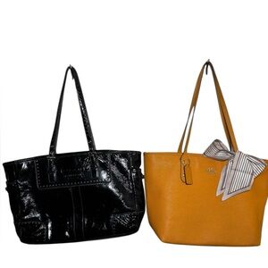 Coach REHAB  - 2 Totes